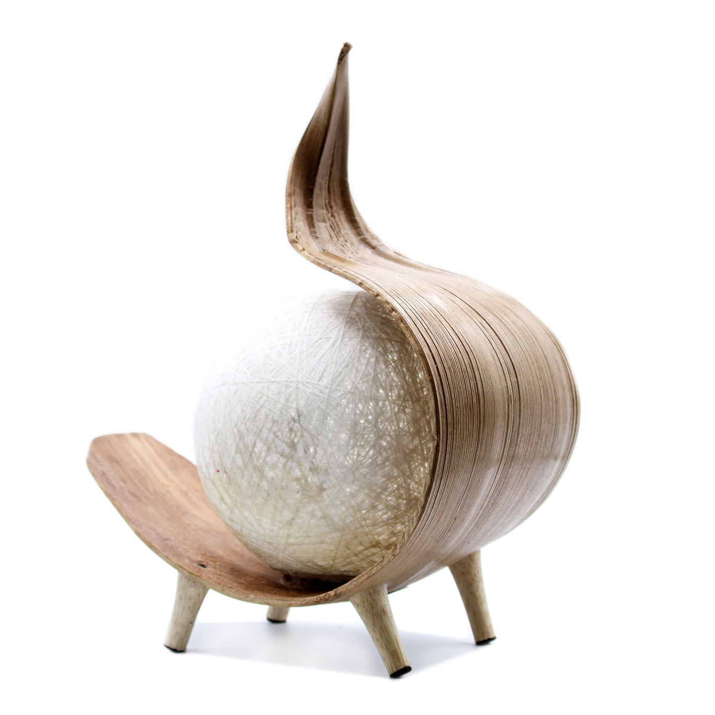 Coconut Lamp with a Chocolate Twist