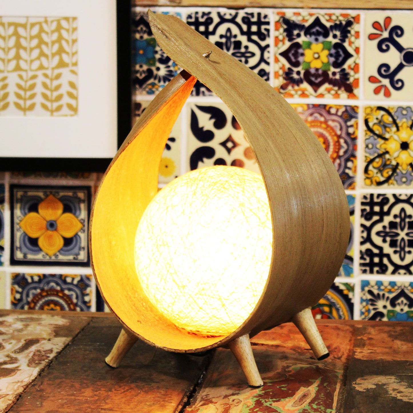 Coconut Lamp with a Natural Loop