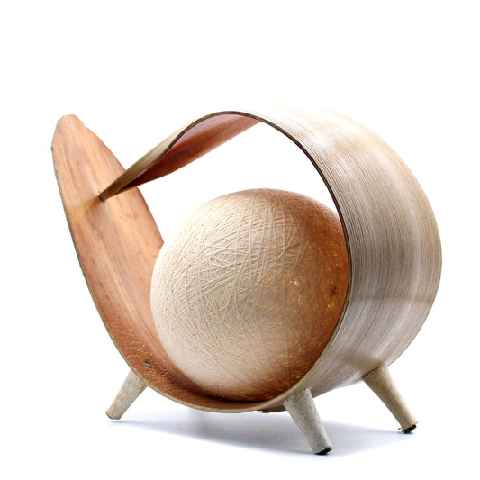 Coconut Lamp with a Natural Loop